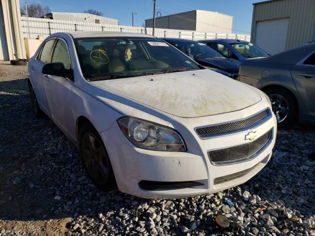 CHEVROLET MALIBU LS 2010 1g1zb5eb7af115727