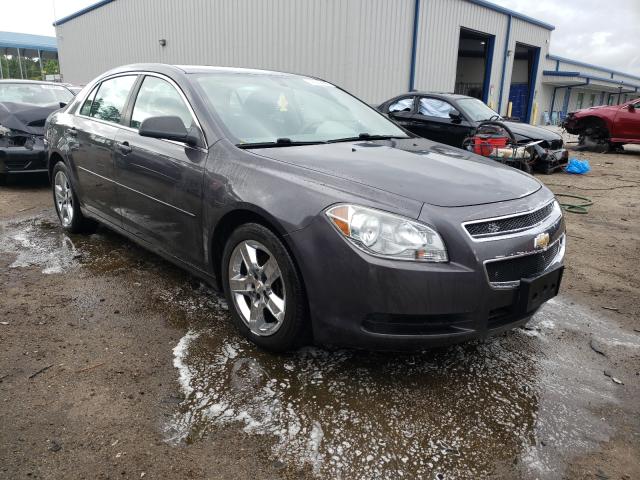 CHEVROLET MALIBU LS 2010 1g1zb5eb7af258385