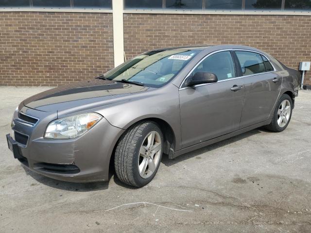 CHEVROLET MALIBU LS 2010 1g1zb5eb7af299387