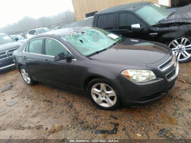 CHEVROLET MALIBU 2010 1g1zb5eb7af313949