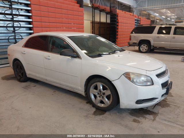 CHEVROLET MALIBU 2010 1g1zb5eb7af314115