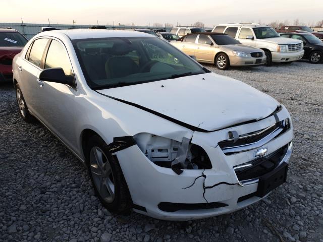 CHEVROLET MALIBU 2010 1g1zb5eb7af316818