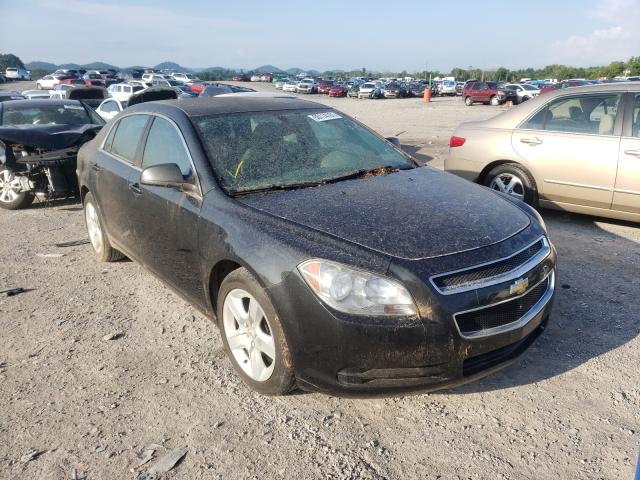 CHEVROLET MALIBU 2010 1g1zb5eb7af318228