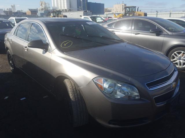 CHEVROLET MALIBU LS 2010 1g1zb5eb8a4118650