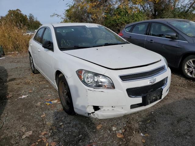 CHEVROLET MALIBU LS 2010 1g1zb5eb8a4131673