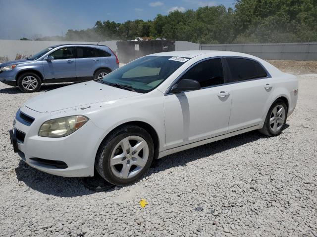 CHEVROLET MALIBU 2010 1g1zb5eb8a4146786