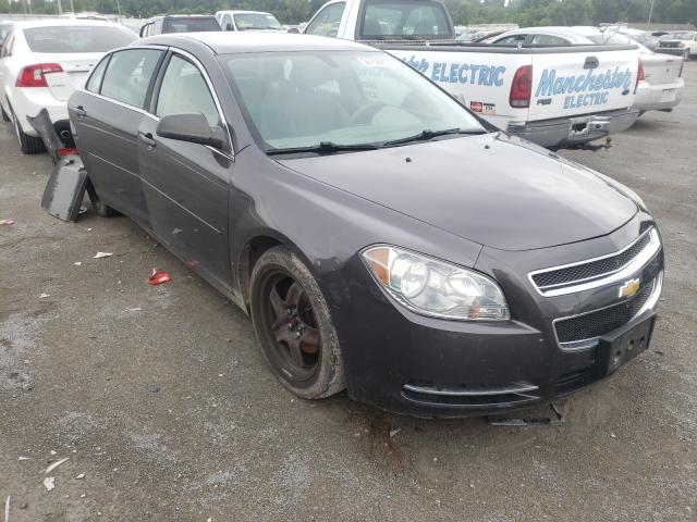 CHEVROLET MALIBU LS 2010 1g1zb5eb8a4156198