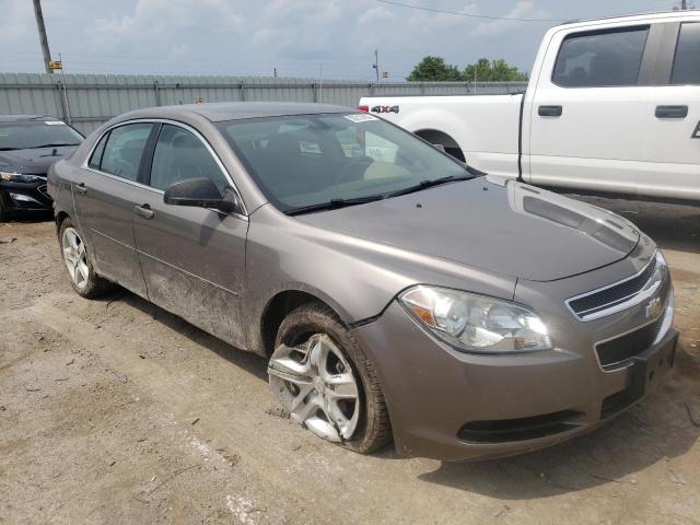 CHEVROLET MALIBU LS 2010 1g1zb5eb8af101237