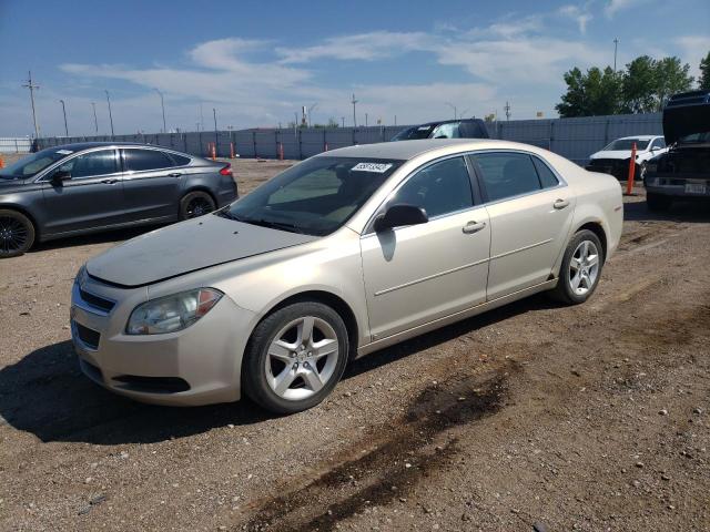 CHEVROLET MALIBU LS 2010 1g1zb5eb8af125506