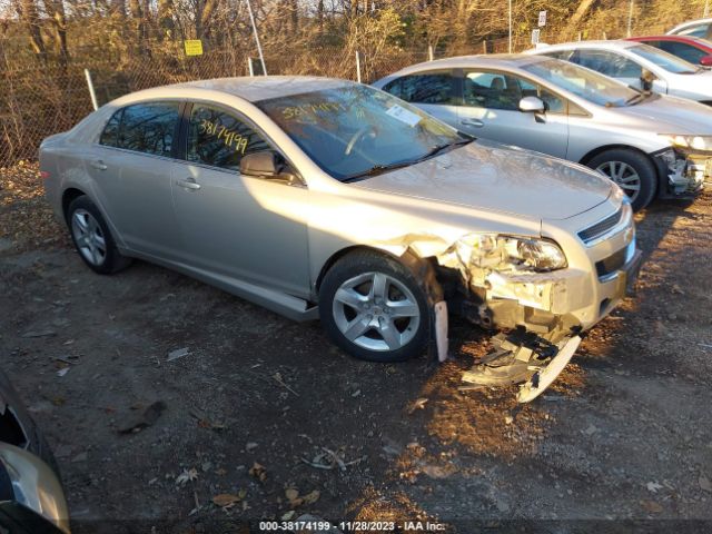 CHEVROLET MALIBU 2010 1g1zb5eb8af165195