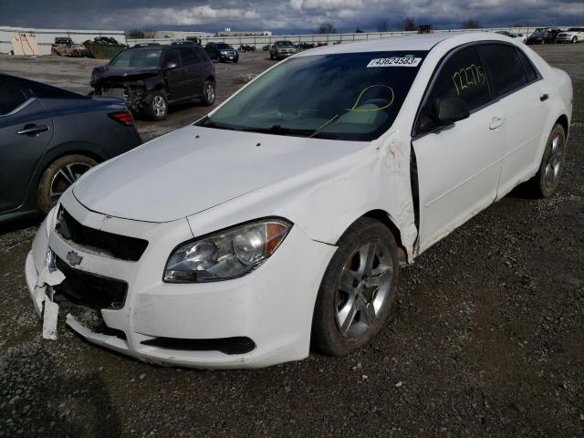 CHEVROLET MALIBU LS 2010 1g1zb5eb8af166248