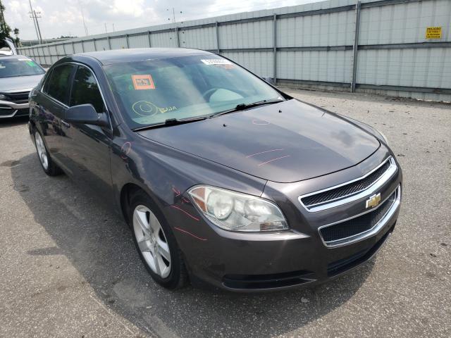 CHEVROLET MALIBU LS 2010 1g1zb5eb8af208708