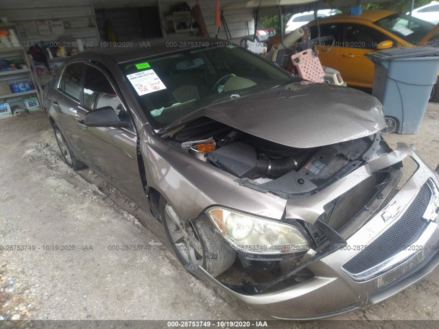 CHEVROLET MALIBU 2010 1g1zb5eb8af236153