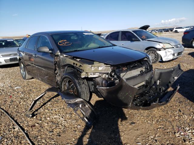 CHEVROLET MALIBU LS 2010 1g1zb5eb8af280055