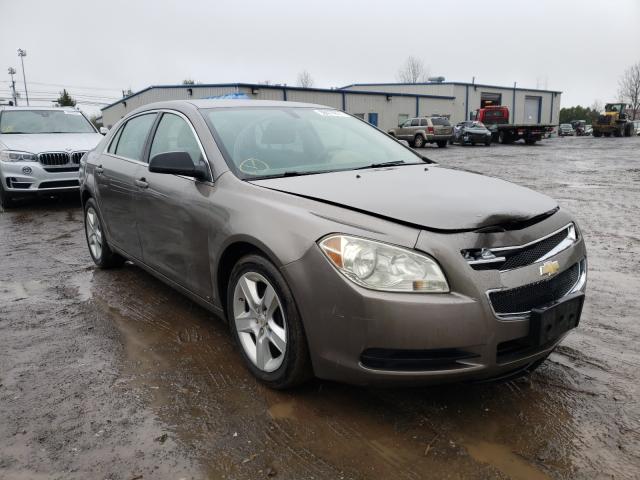 CHEVROLET MALIBU LS 2010 1g1zb5eb9a4123517