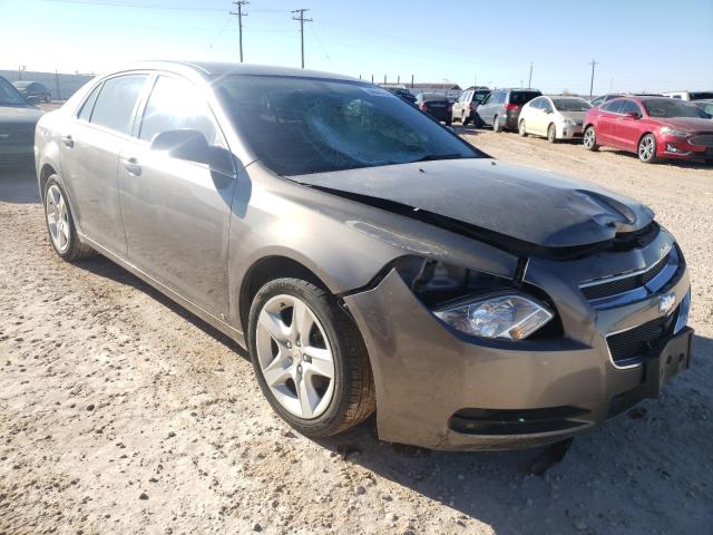 CHEVROLET MALIBU LS 2010 1g1zb5eb9a4124506