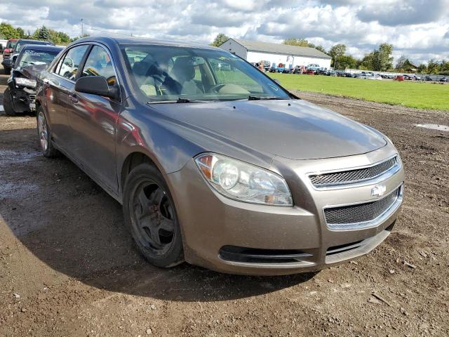 CHEVROLET MALIBU LS 2010 1g1zb5eb9a4143301