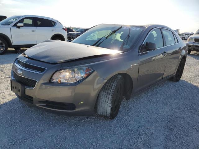 CHEVROLET MALIBU LS 2010 1g1zb5eb9a4146019