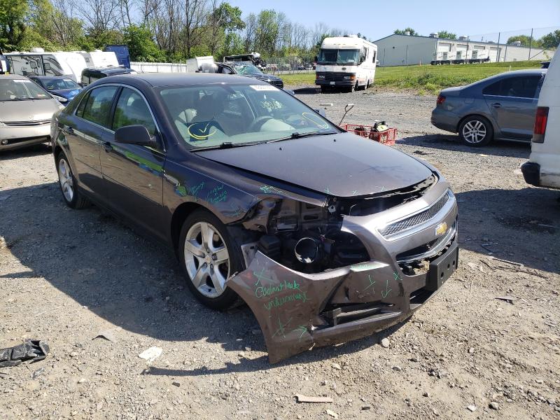 CHEVROLET MALIBU LS 2010 1g1zb5eb9a4153603