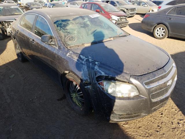 CHEVROLET MALIBU 2010 1g1zb5eb9a4158526