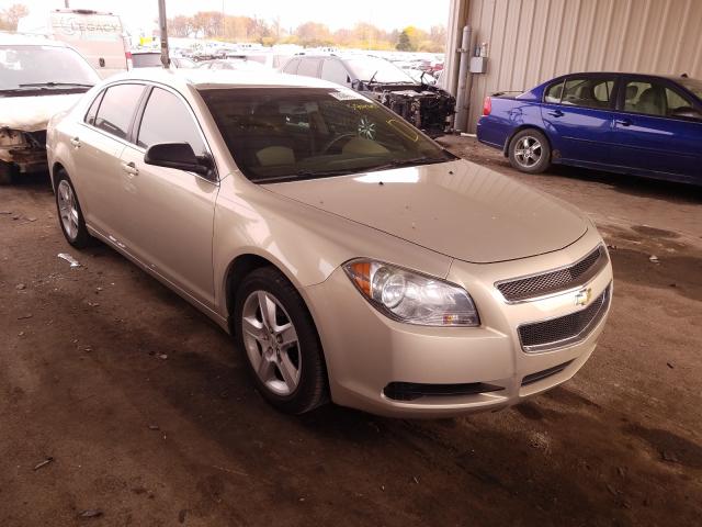 CHEVROLET MALIBU LS 2010 1g1zb5eb9af157381