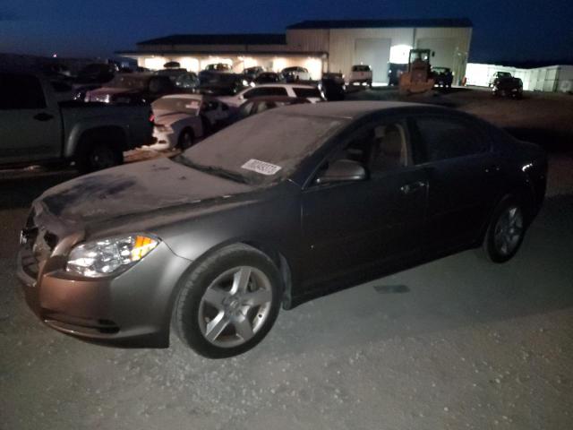 CHEVROLET MALIBU 2010 1g1zb5eb9af239076