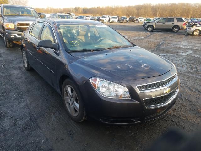 CHEVROLET MALIBU LS 2010 1g1zb5eb9af267685