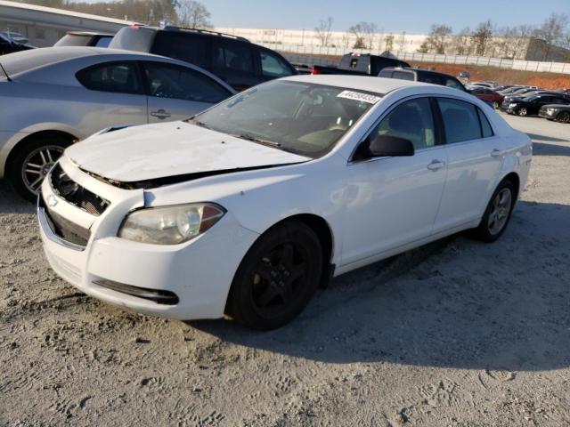 CHEVROLET MALIBU 2010 1g1zb5eb9af314620