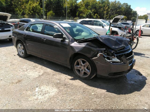 CHEVROLET MALIBU 2010 1g1zb5eb9af315802