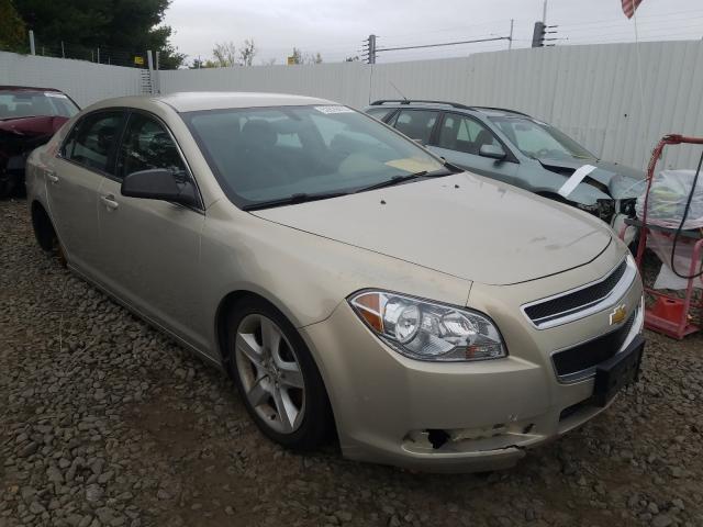 CHEVROLET MALIBU LS 2010 1g1zb5eb9af316898