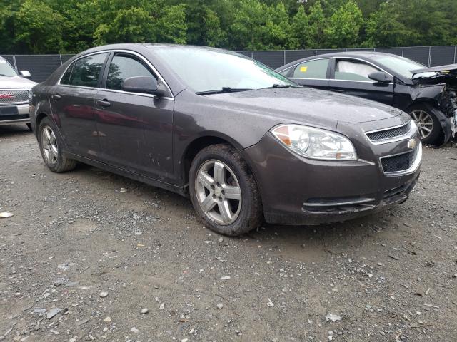 CHEVROLET MALIBU LS 2010 1g1zb5ebxa4136812