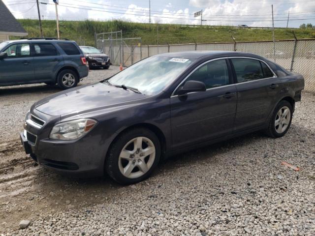 CHEVROLET MALIBU LS 2010 1g1zb5ebxaf235120