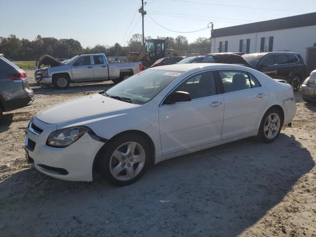 CHEVROLET MALIBU LS 2010 1g1zb5ebxaf245145