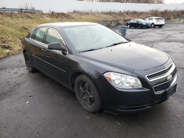 CHEVROLET MALIBU 2010 1g1zb5ebxaf313198