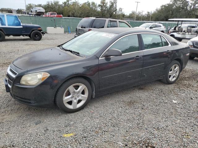 CHEVROLET MALIBU LS 2010 1g1zb5ebxaf313816