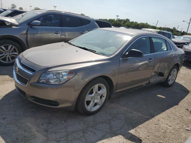 CHEVROLET MALIBU LS 2010 1g1zb5ebxaf316246