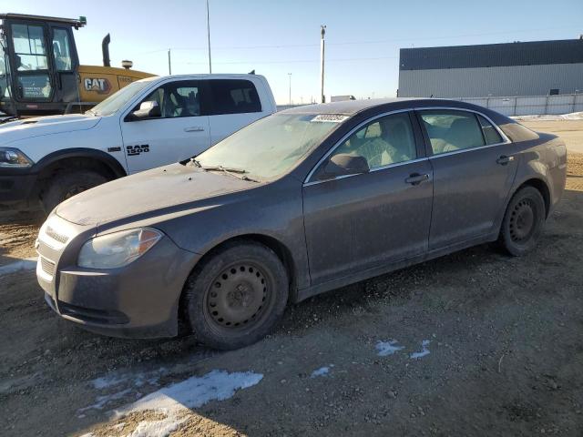 CHEVROLET MALIBU 2011 1g1zb5eu0bf114177