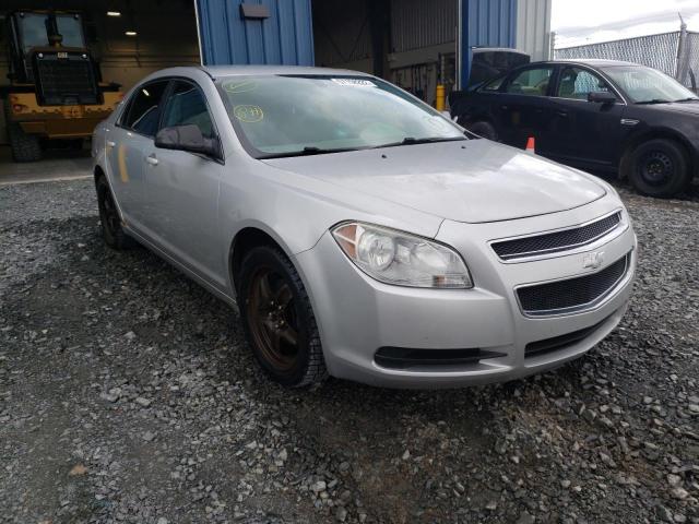 CHEVROLET MALIBU LS 2011 1g1zb5eu0bf316629