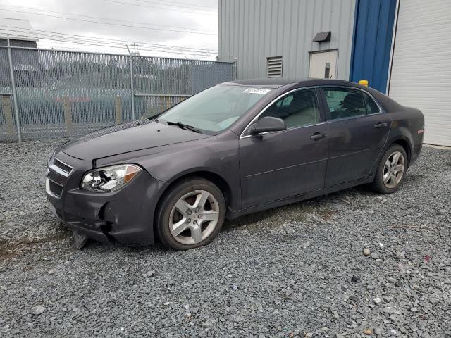 CHEVROLET MALIBU LS 2011 1g1zb5eu1bf167860