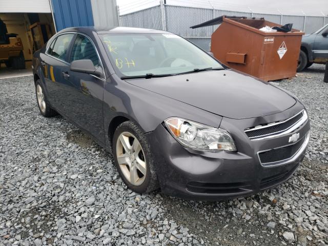 CHEVROLET MALIBU LS 2011 1g1zb5eu2bf193481