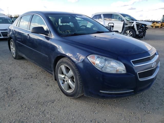 CHEVROLET MALIBU LS 2011 1g1zb5eu3bf161526