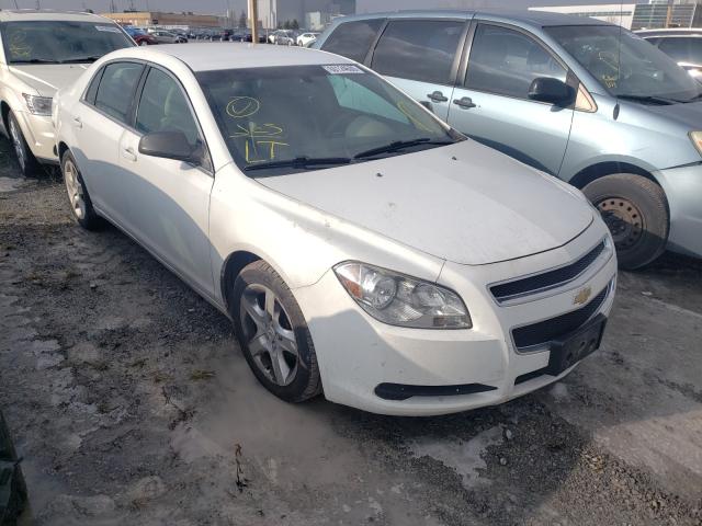 CHEVROLET MALIBU LS 2011 1g1zb5eu5bf158045