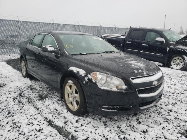 CHEVROLET MALIBU LS 2011 1g1zb5eu5bf383954