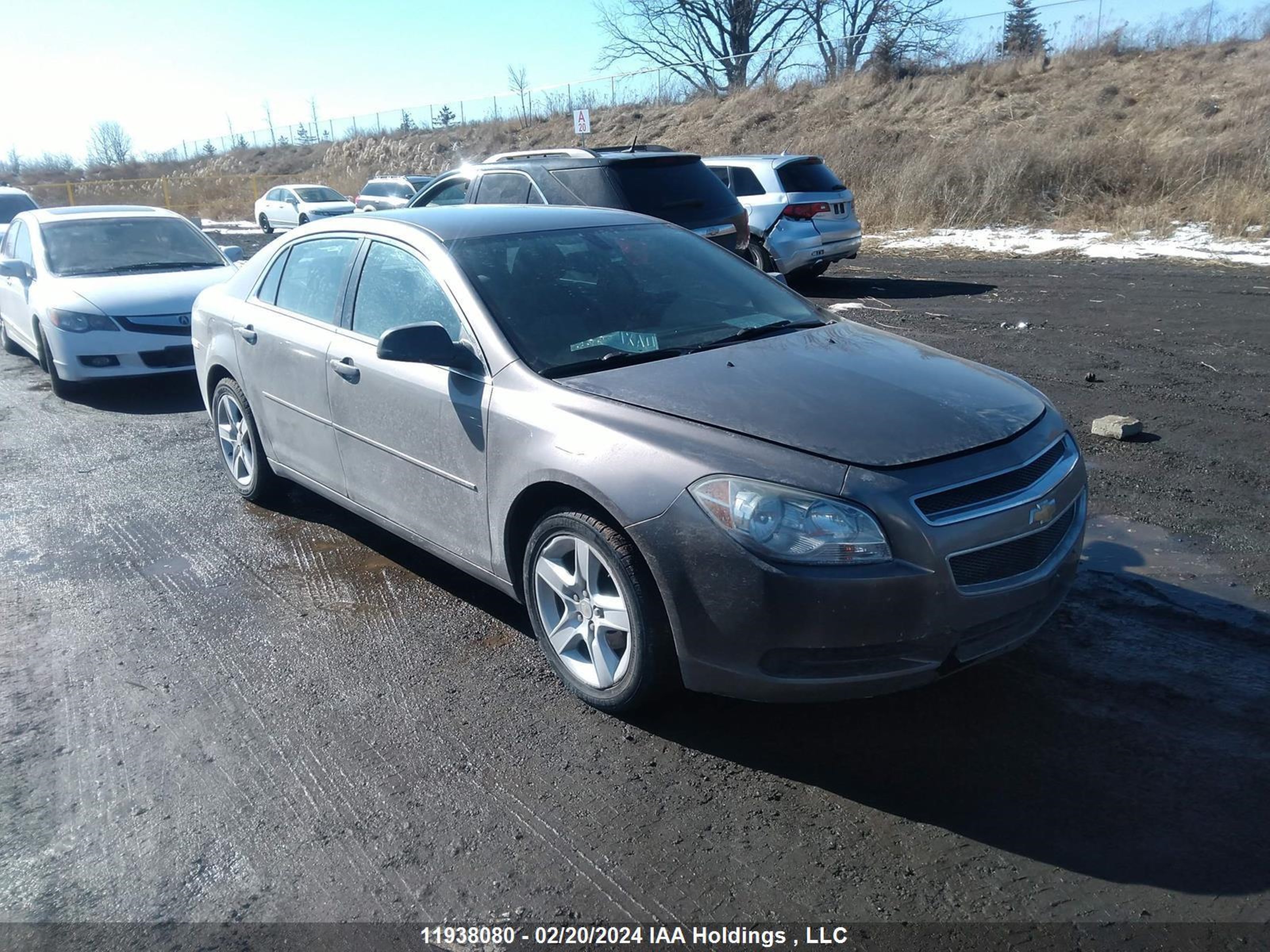 CHEVROLET MALIBU 2011 1g1zb5eu5bf392895