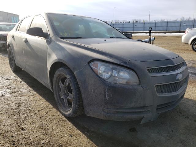 CHEVROLET MALIBU LS 2012 1g1zb5eu7cf124304