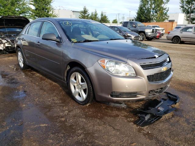 CHEVROLET MALIBU LS 2011 1g1zb5eu8bf182436