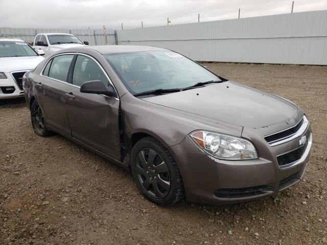 CHEVROLET MALIBU LS 2012 1g1zb5eu8cf113585