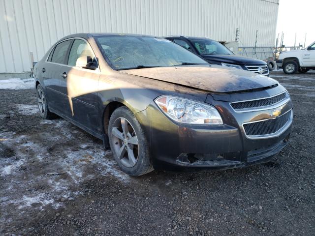 CHEVROLET MALIBU LS 2011 1g1zb5eu9bf137540