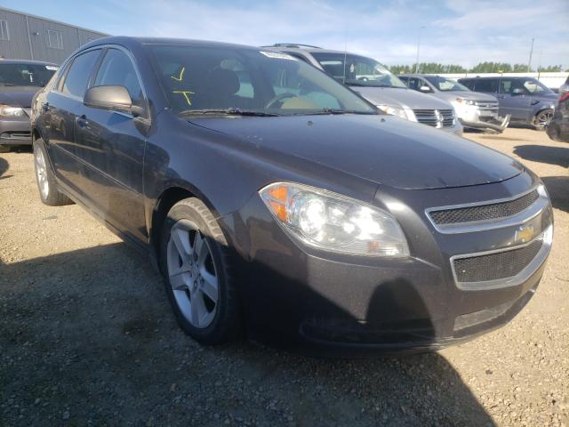 CHEVROLET MALIBU LS 2011 1g1zb5euxbf136865