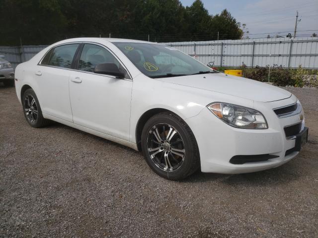 CHEVROLET MALIBU LS 2012 1g1zb5euxcf123020